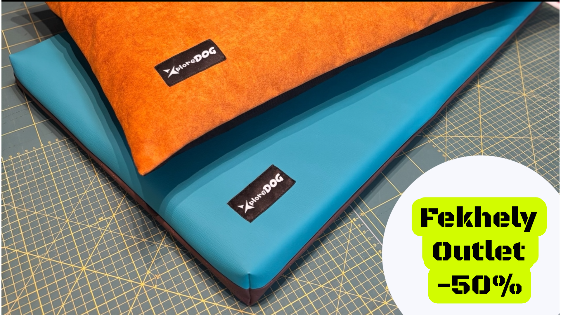 Xploredog - Life and sports