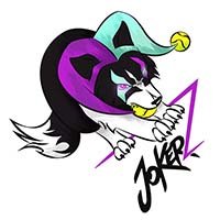 Xploredog - Life and sports