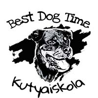 Xploredog - Life and sports