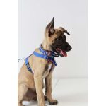 Small hám 4-12kg fehér