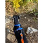 Small hám 4-12kg fehér