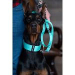 basic félfojtó nyakörv menta