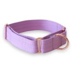 basic félfojtó nyakörv levendula