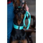 Basic póráz man 100cm