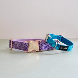 City nyakörvek- könnyű sétákhoz