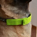 Szöges fojtó nyakörv takaró sötétkék