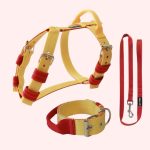  Citrom hám, nyakörv, póráz szett 