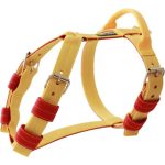  Citrom hám, nyakörv, póráz szett 