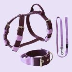  Lila hám, nyakörv, póráz szett 