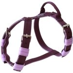  Lila hám, nyakörv, póráz szett 