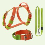  Narancs hám, nyakörv, póráz szett 