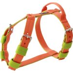  Narancs hám, nyakörv, póráz szett 