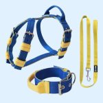  kék hám, nyakörv, póráz szett 