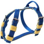  kék hám, nyakörv, póráz szett 