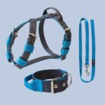  Szürke hám, nyakörv, póráz szett 