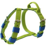  Szürke hám, nyakörv, póráz szett 