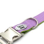 drakensberg nyakörv