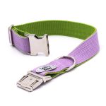 drakensberg nyakörv