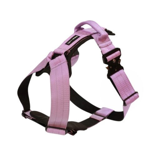 Patrol hám levendula