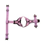 Patrol hám levendula