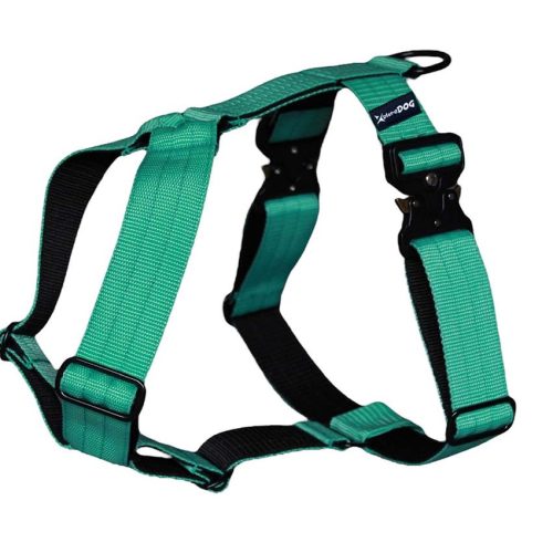 Patrol hám menta