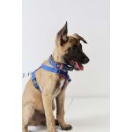 Puppy hám 3- 10kg pink