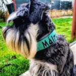 Patrol nyakörv khaki